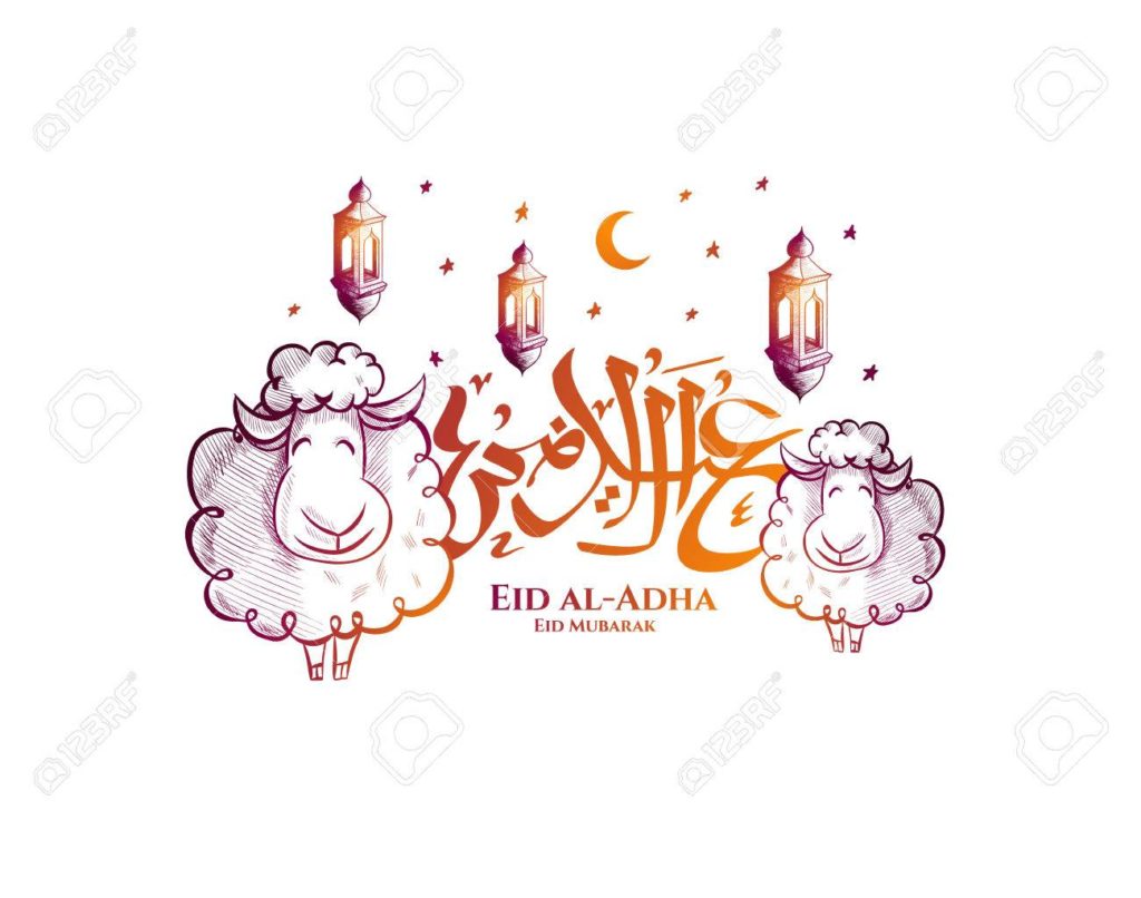 صور خروف عيد الاضحى 2020 رمزيات اجمل الصور خروف العيد خلفيات