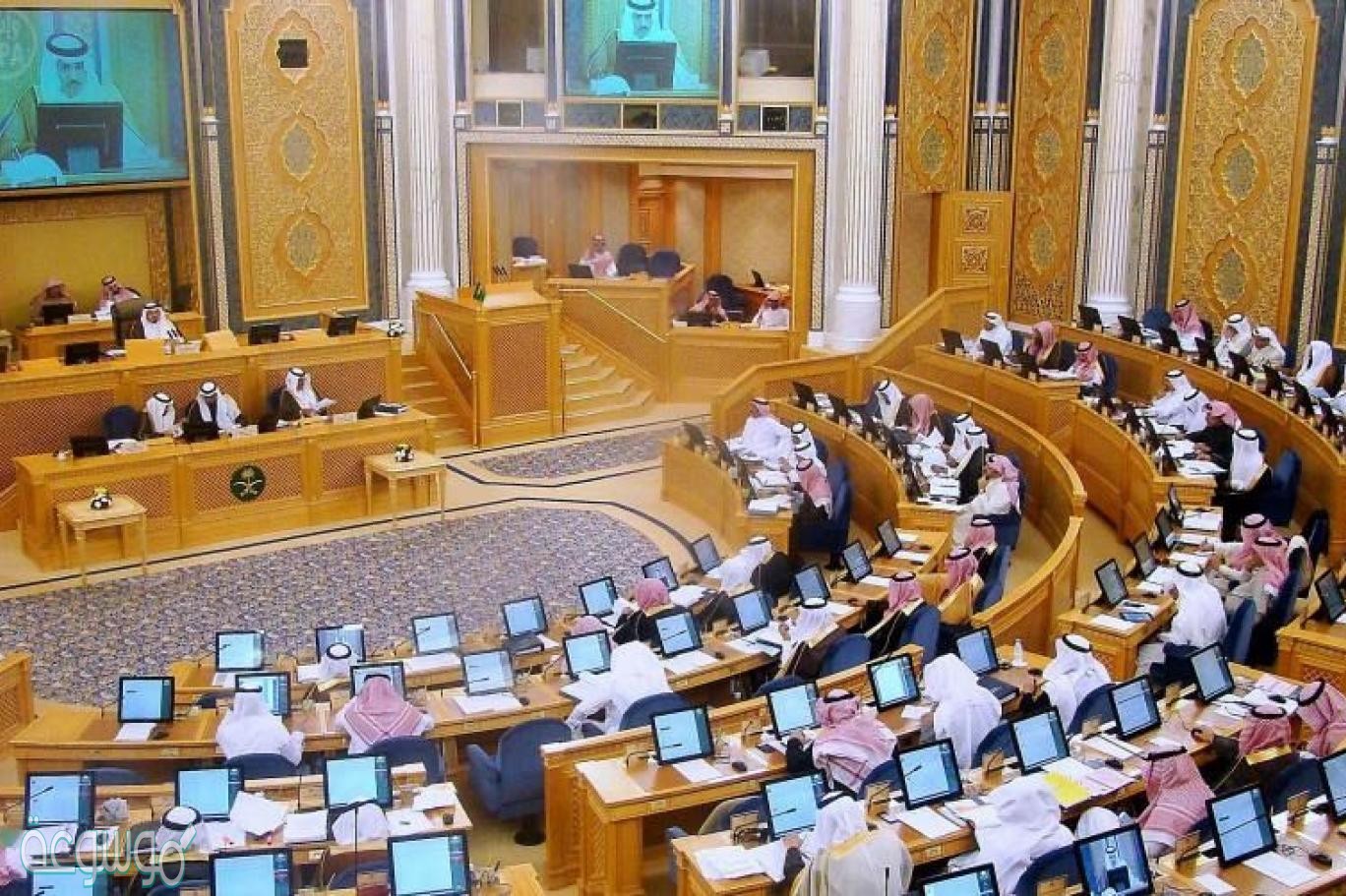 جلسة أسبوعين من مجلس بقرار الشورى عادية كل يعقد يعقد مجلس