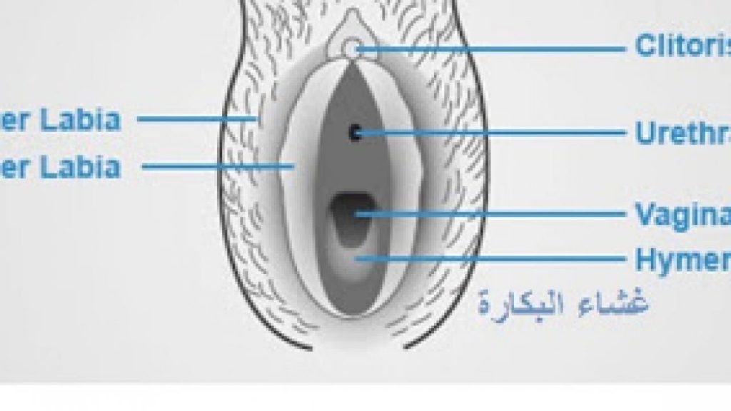 كيف اعرف اني عذراء بطرق بسيطة بالصور الموقع المثالي