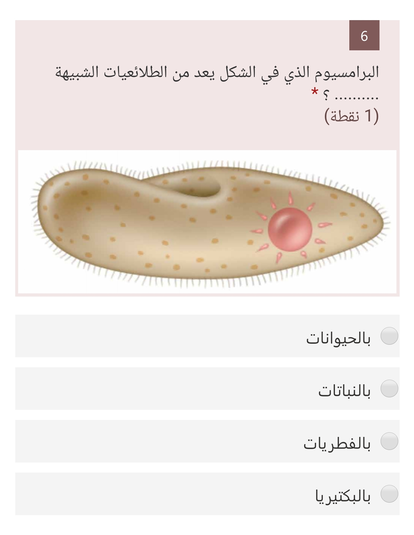 يعد الفطر المائي من الطلائعيات الشبيهة بالفطريات بسبب :