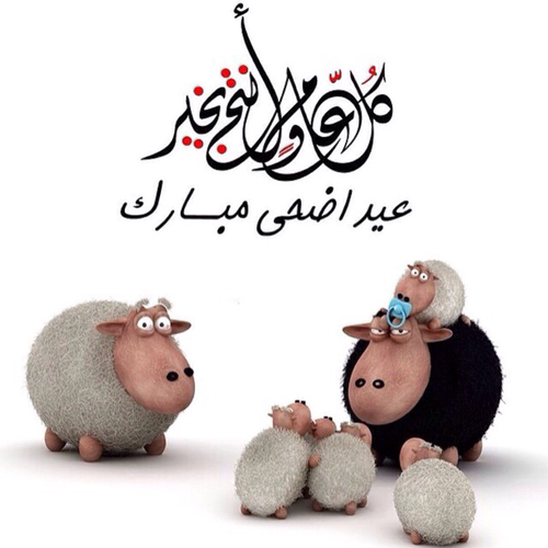 العد التنازلي لعيد الاضحى