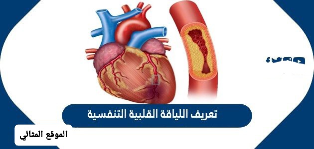 التنفسي والتنفسي ألهواء على الجهاز هي الأكسجين بواسطة الخارجي الجهازين أللياقة الدوري القلبية التنفسية قدرة من أخذ تعرف اللياقة