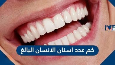 كم عدد اسنان الانسان البالغ