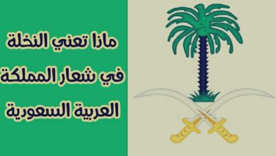 Photo of ماذا تعني النخلة في شعار المملكة العربية السعودية
