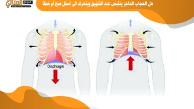 هل الحجاب الحاجز ينقبض عند الشهيق ويتحرك الى اسفل صح أم خطأ